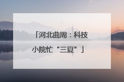 河北曲周：科技小院忙“三夏”