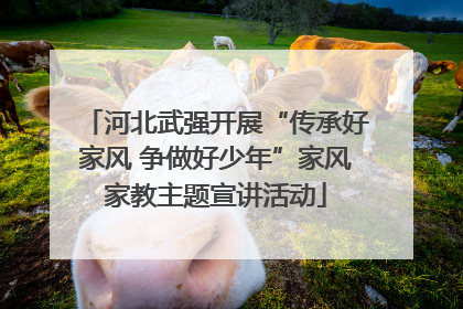河北武强开展“传承好家风 争做好少年”家风家教主题宣讲活动