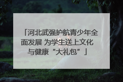 河北武强护航青少年全面发展 为学生送上文化与健康“大礼包”