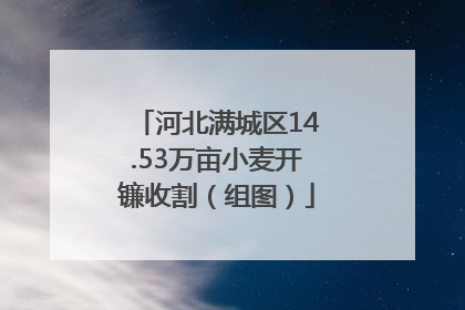 河北满城区14.53万亩小麦开镰收割（组图）