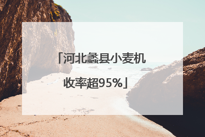 河北蠡县小麦机收率超95%