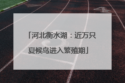 河北衡水湖：近万只夏候鸟进入繁殖期