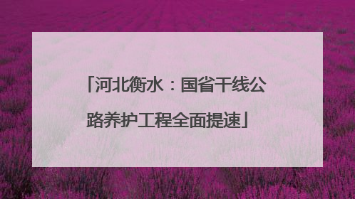 河北衡水：国省干线公路养护工程全面提速