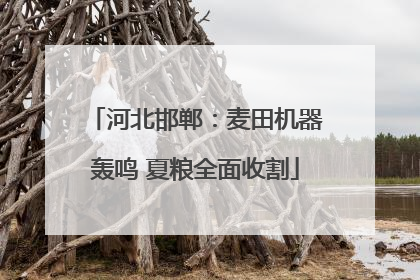 河北邯郸：麦田机器轰鸣 夏粮全面收割