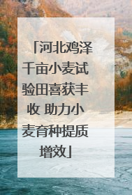 河北鸡泽千亩小麦试验田喜获丰收 助力小麦育种提质增效