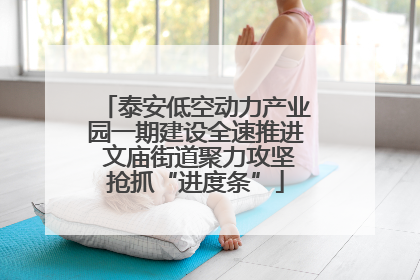 泰安低空动力产业园一期建设全速推进 文庙街道聚力攻坚抢抓“进度条”