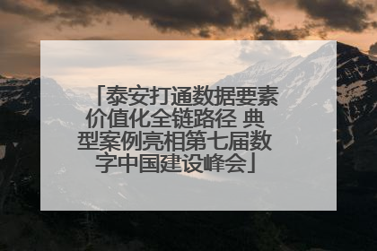 泰安打通数据要素价值化全链路径 典型案例亮相第七届数字中国建设峰会