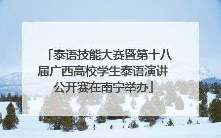 泰语技能大赛暨第十八届广西高校学生泰语演讲公开赛在南宁举办