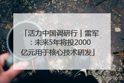 活力中国调研行｜雷军：未来5年将投2000亿元用于核心技术研发