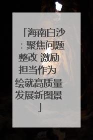 海南白沙：聚焦问题整改 激励担当作为 绘就高质量发展新图景