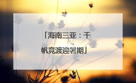 海南三亚：千帆竞渡迎暑期