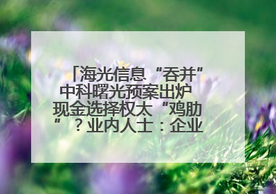 海光信息“吞并”中科曙光预案出炉 现金选择权太“鸡肋”？业内人士：企业不想大量现金流出