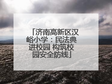 济南高新区汉峪小学：民法典进校园 构筑校园安全防线