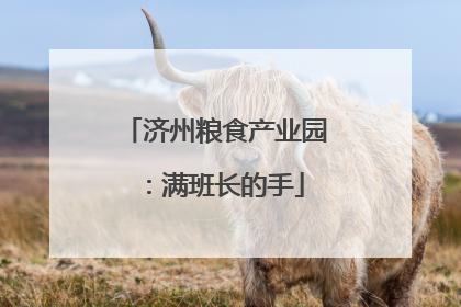 济州粮食产业园：满班长的手