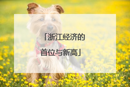 浙江经济的首位与新高