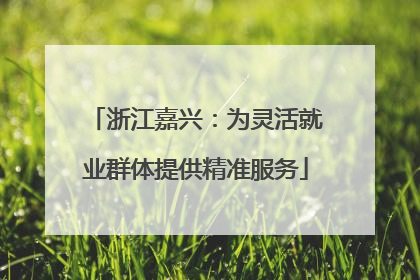 浙江嘉兴：为灵活就业群体提供精准服务