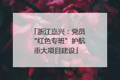 浙江嘉兴：党员“红色专班”护航重大项目建设