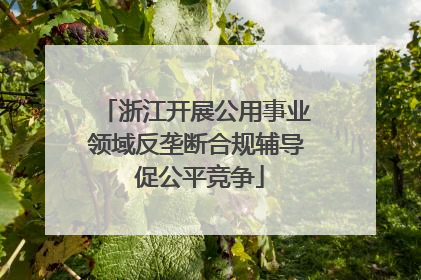 浙江开展公用事业领域反垄断合规辅导 促公平竞争