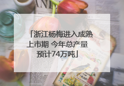 浙江杨梅进入成熟上市期 今年总产量预计74万吨