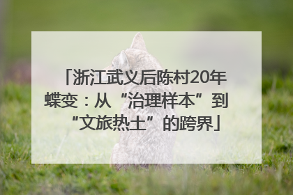 浙江武义后陈村20年蝶变：从“治理样本”到“文旅热土”的跨界