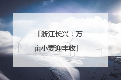 浙江长兴：万亩小麦迎丰收