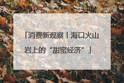 消费新观察丨海口火山岩上的“甜蜜经济”