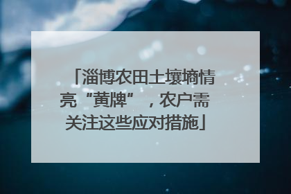 淄博农田土壤墒情亮“黄牌”，农户需关注这些应对措施