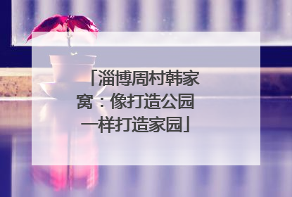 淄博周村韩家窝：像打造公园一样打造家园