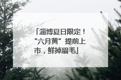 淄博夏日限定！“六月黄”提前上市，鲜掉眉毛