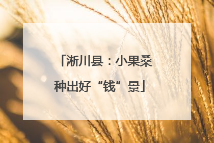 淅川县：小果桑种出好“钱”景
