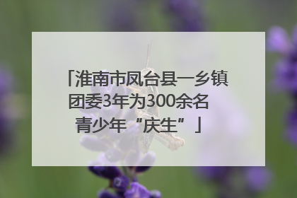 淮南市凤台县一乡镇团委3年为300余名青少年“庆生”