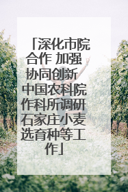 深化市院合作 加强协同创新 中国农科院作科所调研石家庄小麦选育种等工作