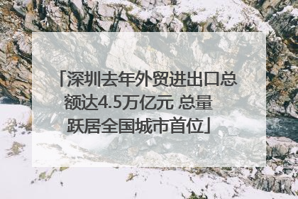深圳去年外贸进出口总额达4.5万亿元 总量跃居全国城市首位
