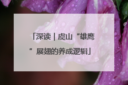 深读｜虞山“雄鹰”展翅的养成逻辑
