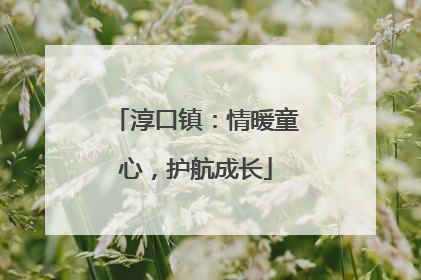 淳口镇：情暖童心，护航成长