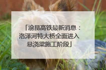 渝昆高铁最新消息：洛泽河特大桥全面进入悬浇梁施工阶段