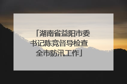 湖南省益阳市委书记陈竞督导检查全市防汛工作