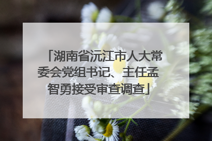 湖南省沅江市人大常委会党组书记、主任孟智勇接受审查调查