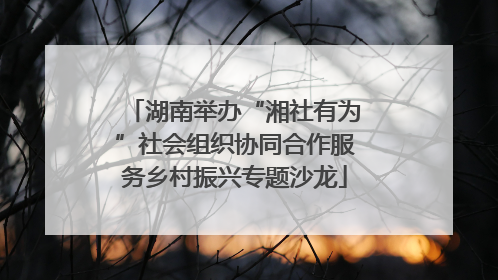 湖南举办“湘社有为”社会组织协同合作服务乡村振兴专题沙龙