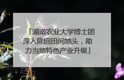 湖南农业大学博士团深入隆回田间地头，助力当地特色产业升级