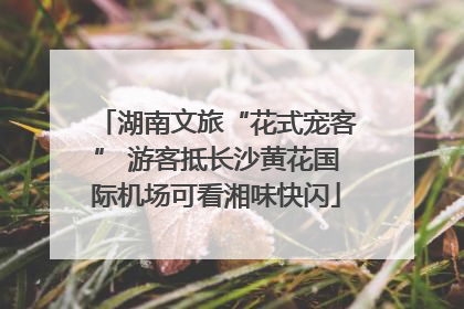 湖南文旅“花式宠客” 游客抵长沙黄花国际机场可看湘味快闪