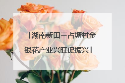 湖南新田三占塘村金银花产业兴旺促振兴