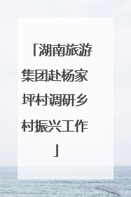 湖南旅游集团赴杨家坪村调研乡村振兴工作