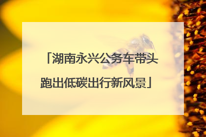 湖南永兴公务车带头跑出低碳出行新风景