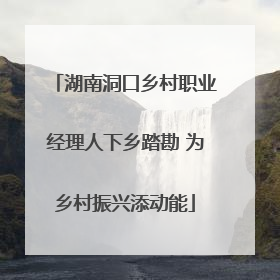湖南洞口乡村职业经理人下乡踏勘 为乡村振兴添动能