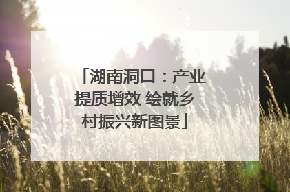 湖南洞口：产业提质增效 绘就乡村振兴新图景