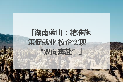 湖南蓝山：精准施策促就业 校企实现“双向奔赴”