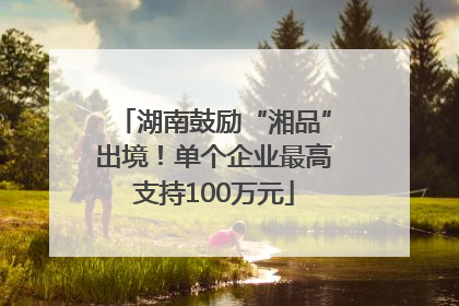 湖南鼓励“湘品”出境！单个企业最高支持100万元