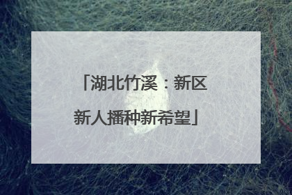 湖北竹溪：新区新人播种新希望