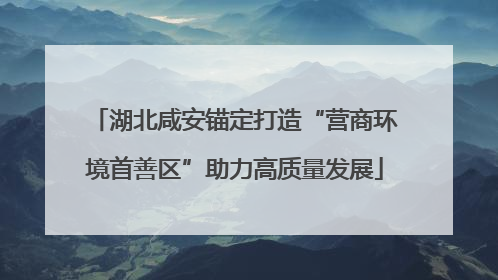 湖北咸安锚定打造“营商环境首善区”助力高质量发展